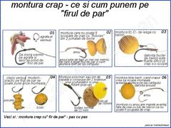 Monturi de pescuit